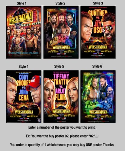 Wrestlemania 41 Poster