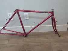 Holy grail Touring frameset: THE Bridgestone T700: Very Open to your Offers