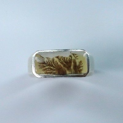 Natürlicher Scenic Dendritica Achat 925 Silber / Gold Unisex Herrenring