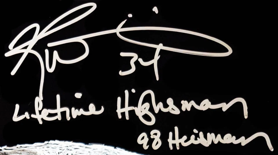 Pintura al óleo original 16x20 firmada por Ricky Williams 2x inscripción JSA 1/1 Foto 3 de 4