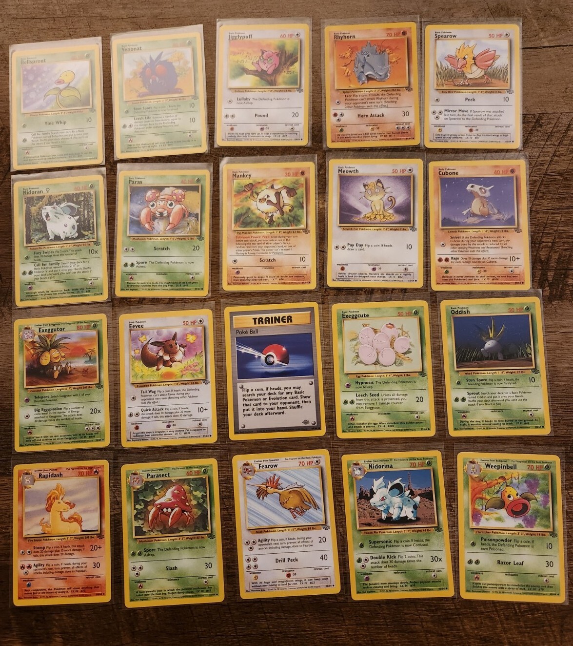 Lot Of 20 Vintage WOTC Jungle Set Pokemon Cards. Lp eBay