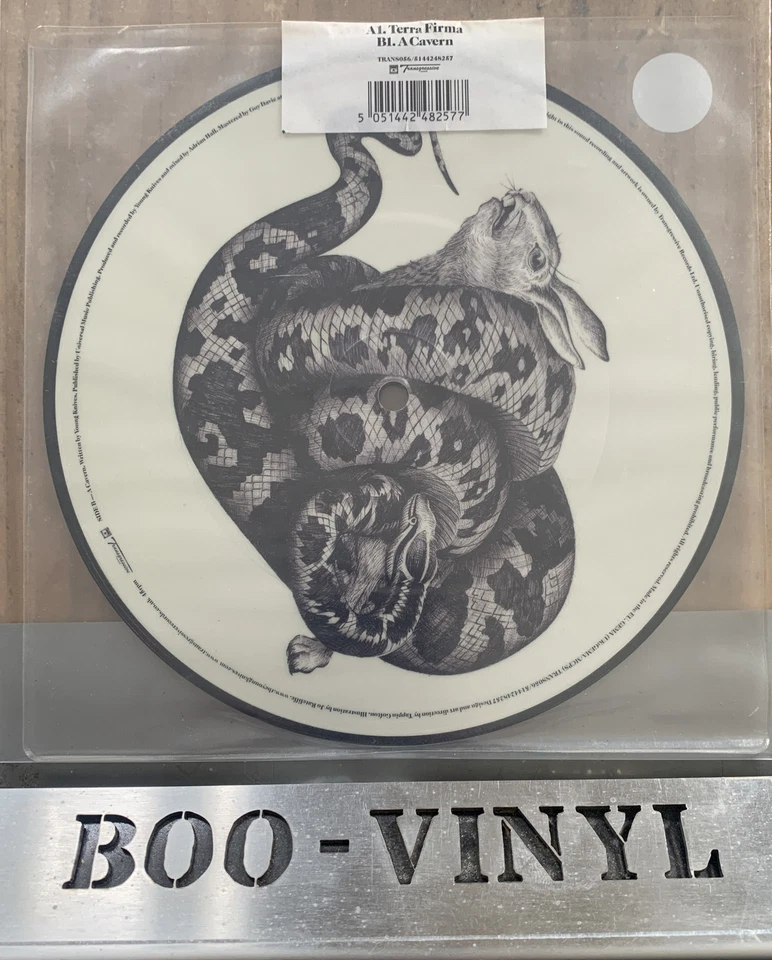 Young Knives "Terra Firma"  7" Vinyl Picture Disc Indie Rock UNOPENED MINT - Image 2 of 2