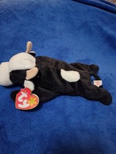 Rare Daisy Beanie Baby