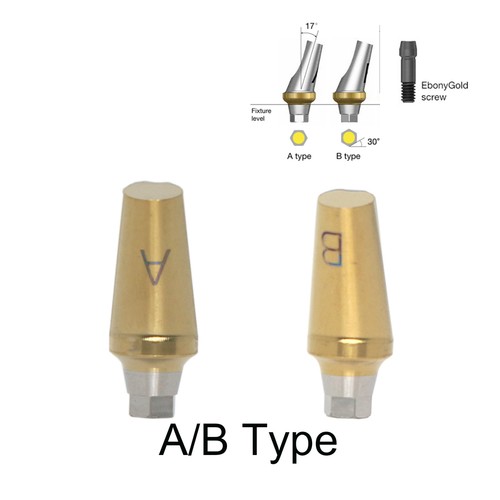 Hiossen Conical Connection ET System RP 17° Angled Anatomic Transfer Abutment - Picture 3 of 47