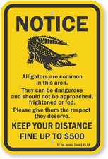 Aluminum Warning Sign Alligators Are Common Fine Up To 500 Weatherproof