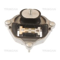 Lagerung, Automatikgetriebe Triscan 8505 29215 FüR Audi, Hinten