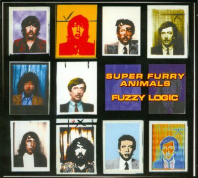 SUPER FURRY ANIMALS - FUZZY LOGIC NEW CD