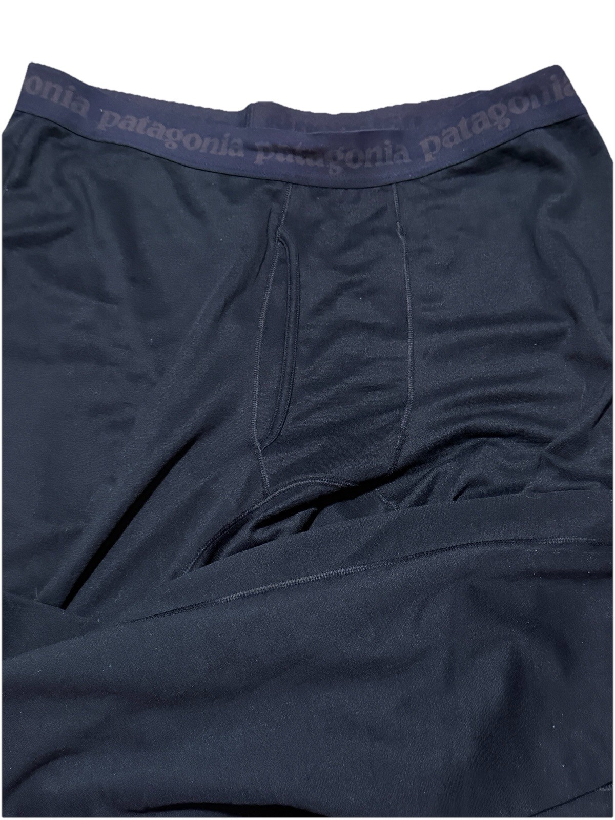 Patagonia Men's Blue Capilene Fleece Base Layer Pants