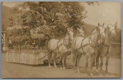 RPPC Postcard Man standing on a Horse Drawn Parade Float celebration Unposted