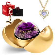 Women Gifts Ideas for Valentines Day, Preserved Forever Rose Gift with Necklace 