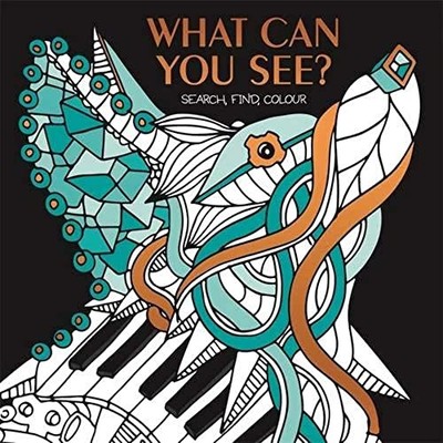 What Can You See?: Hidden picture puzzles to decode ...