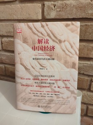 Lin Yifu Demystifying The Chinese Economy (Chinese Edition)