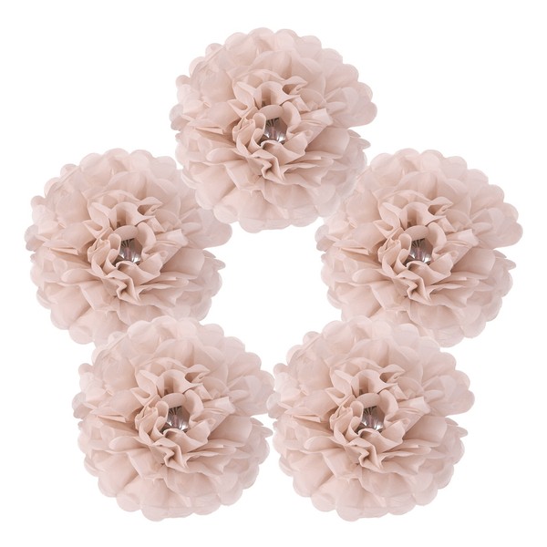 5 StüCk Papier-Pompons,Seidenpapier-Blumen FüR Geburtstage,Hellorange-image