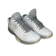 Jordan 5 AM White Wolf Grey for Sale | Authenticity  display picture 1