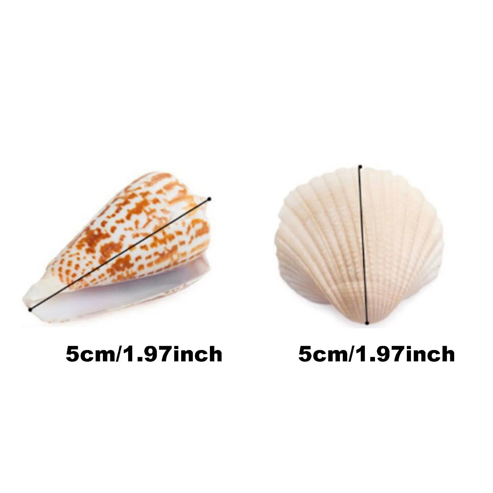 Zdjęcie 3 z 24