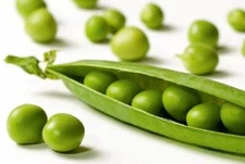 Pea Seeds,Early Alaska Pea Seeds,"COOL BEANS N SPROUTS" Brand. Heirloom. Non-GMO