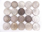 NobleSpirit Valuable 20x Silver PEACE DOLLAR Mixed Date Roll to Choice BU