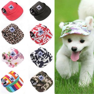 visors for dogs