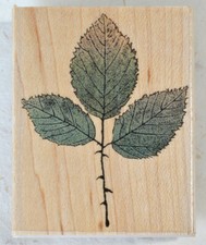 Hero Arts E2247 Rose Leaf - maplewood mounted rubber stamp - NEW