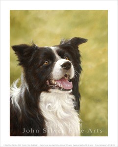 trading post border collie