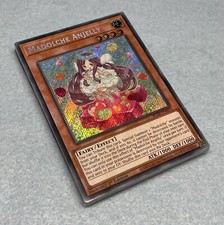 Yugioh Madolche Mazzo di 16 Carte Nucleo Gelatina Magileina Tiaramisu Budino NM