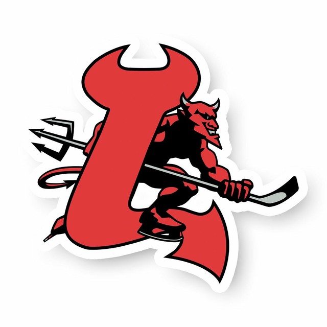 New Jersey Devils Vinyl Sticker Sheet 17 Decals 5x7 Inches Free Shipping | eBay