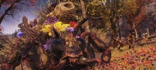 Big Bloom 2025. Xbox