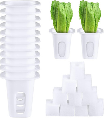 100 Pcs Hydroponics Growing System Kit Include 50 Hydroponic Grow