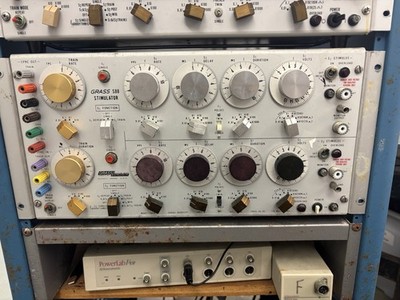 GRASS S88 Stimulator (S88) Model S88K Biological Laboratory Equipment