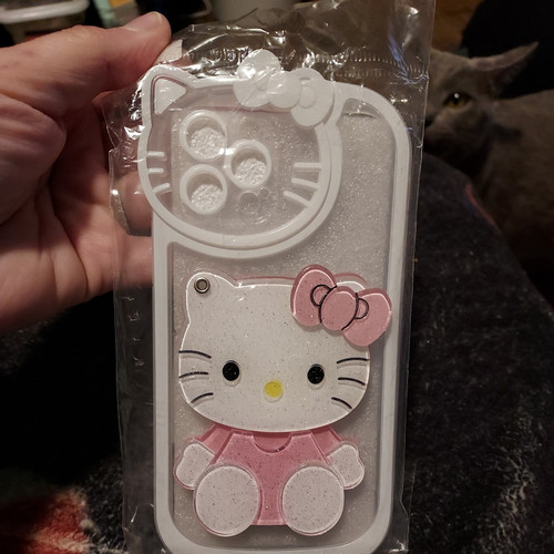 For iPhone 12 Pro Hello Kitty Cute Mirror Case