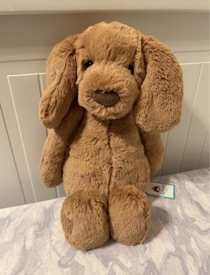 Brand New Jellycat Bashful Toffee Puppy Dog Medium 9  Plush Toy Brown Lovy
