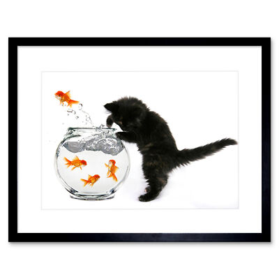 Photo Black Kitten Cat Goldfish Bowl Framed Print 12x16 Inch