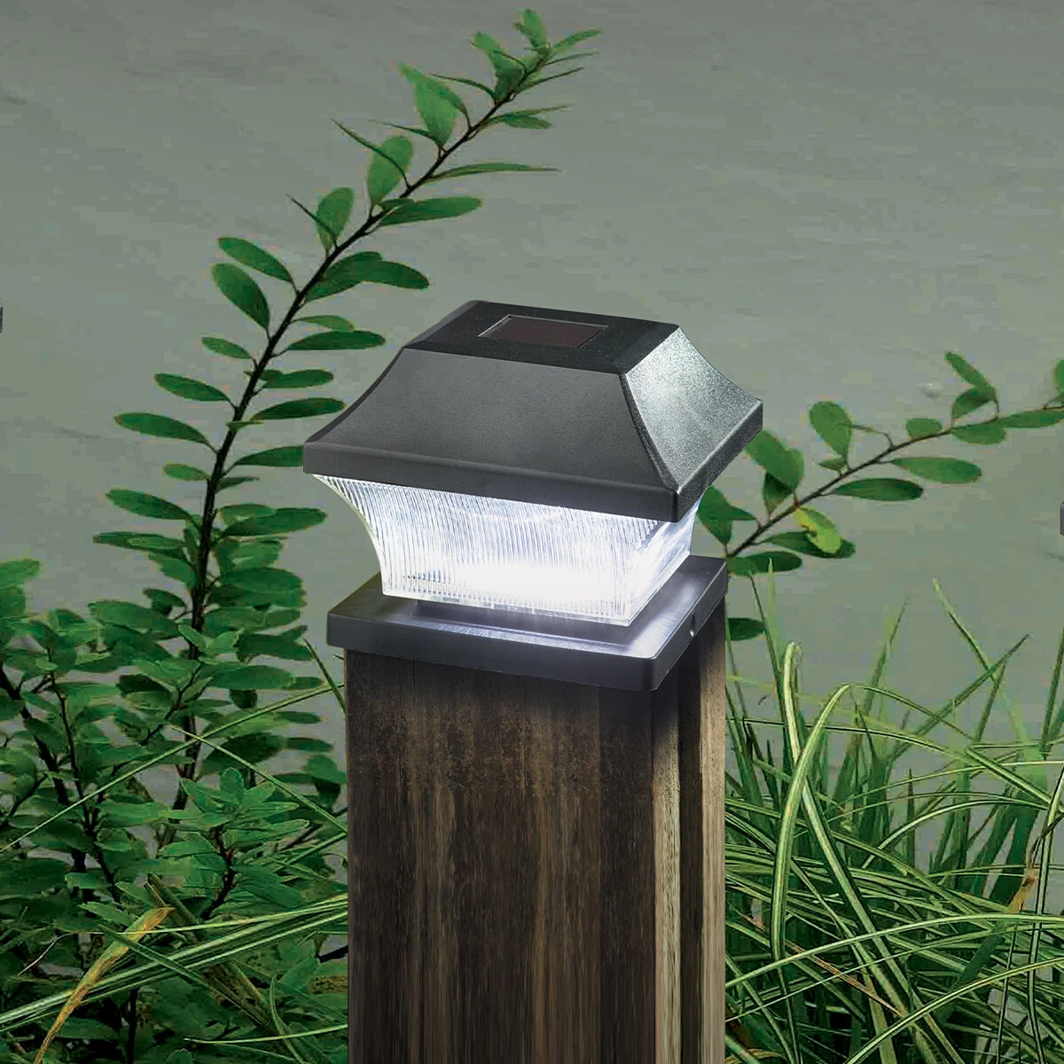 Driveway downlights deals