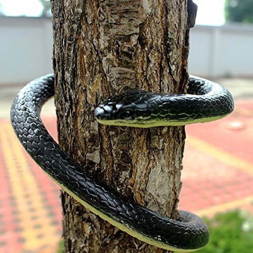 long rubber snake