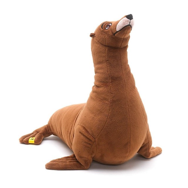 sea lion soft toy