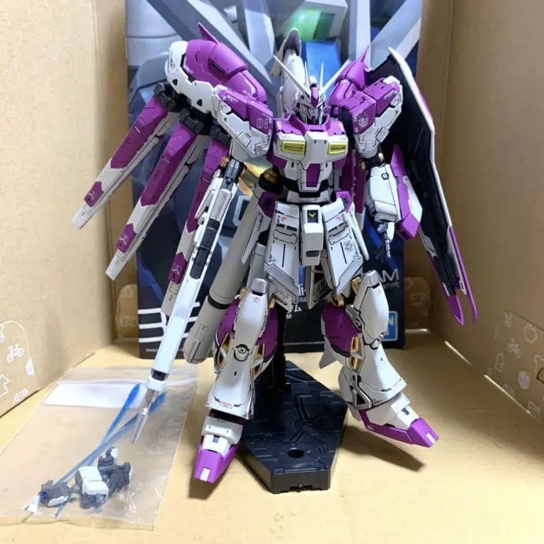 RG Hi-V Gundam Highver.Ka Purple Gunpla Bandai Built & Painted