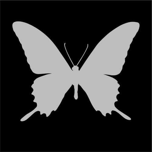 BUTTERFLY Decals Sticker, Vinyl, Car, Truck, Window, Choice of Sizes & Colors - Picture 12 of 15