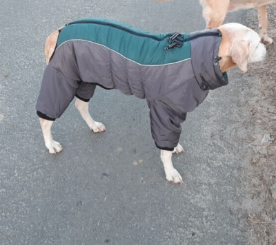 Hundemantel Hundejacke Outdoor Kleidung Wasserabweisend Reflektierend 4XL