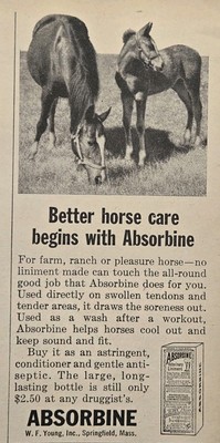 Absorbine Horse Astringent Conditioner Antiseptic Liniment Vintage Print Ad 1961