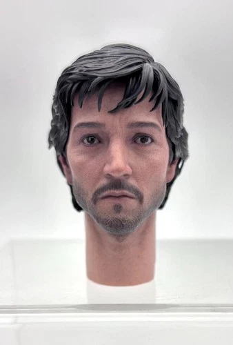 Hot Toys 1/6 Scale MMS802 Star Wars Cassian Andor - Head Sculpt