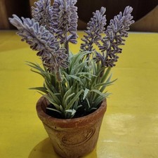 Image of Artificial Lavender in Terracotta Pot for Indoor Decoration