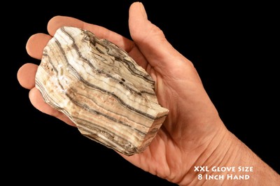 ZEBRA ONYX 4