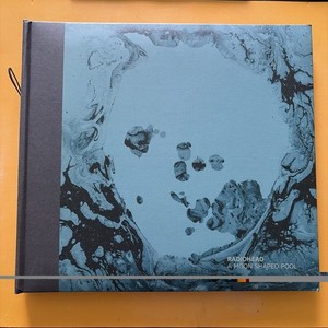 A Moon Shaped Pool Radiohead | eBay