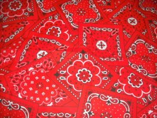 Red Paisley Jumble Cotton Bandana Scarf Handkerchief Hanky 21 X 21 Hav-A-Hank