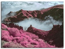 Converted Infrared IR Full Spectrum Panasonic GF6  M43 Camera 14-42mm Lens   133