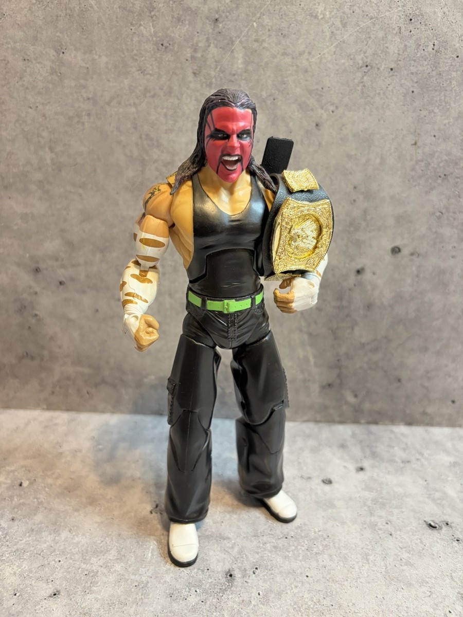 Jeff Hardy Deluxe Aggression Series 21 Matt Hardy Series 19 | eBay