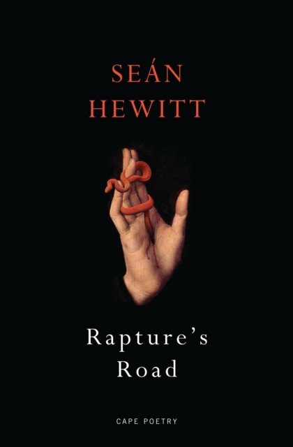 Rapture's Road: From the author of All Down Darkness by SeÃ¡n Hewitt (PB 2024) - Image 3