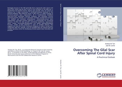 Andrew M. Tan (u. a.) | Overcoming The Glial Scar After Spinal Cord Injury
