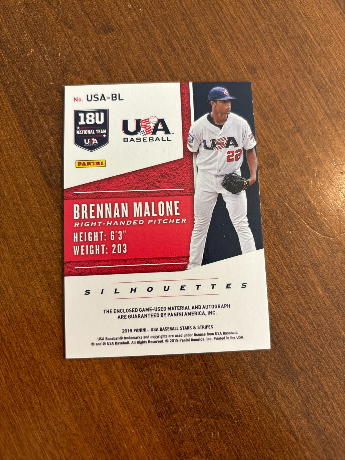Brennan Malone 2019 USA Baseball Silhouettes Patch Gold Auto Diamondbacks /54 view 2