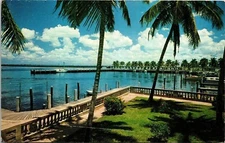 Florida Swaying Palm Trees Scenic Tropical Pier Chrome Cancel WOB Postcard